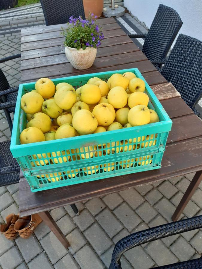 Dworek Natury Strzezenice Buitenkant foto