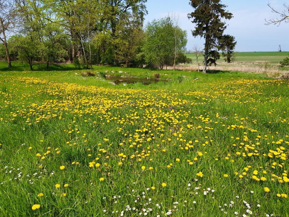 Dworek Natury Strzezenice Buitenkant foto